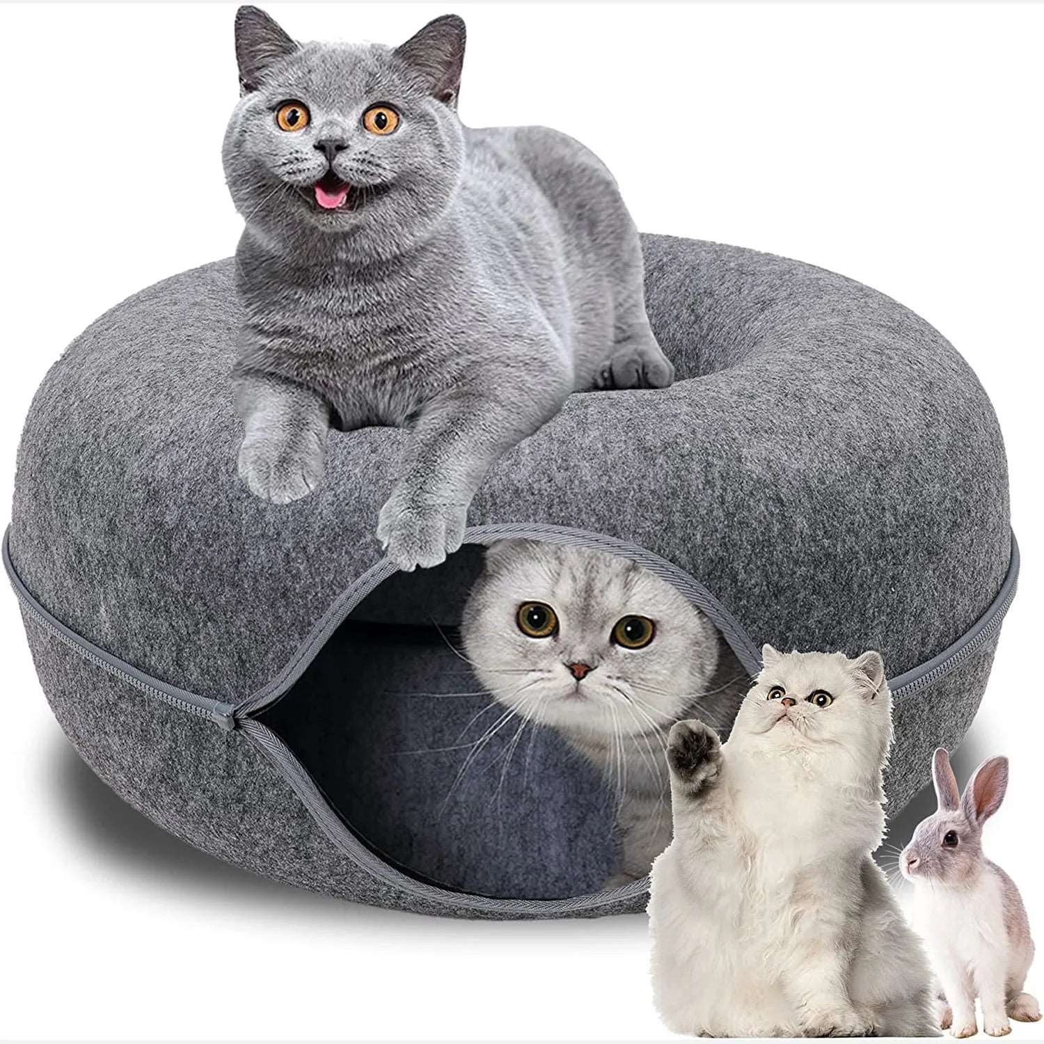 Mikesuper-store Donut Pet Cat Tunnel pet accessiors any indoor space cat lovers cat moms cats happy pets healty pets soft and safe training purposes free