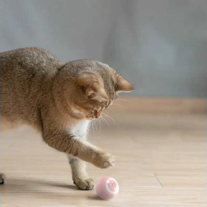 Smart Cat Toy Ball ™ - pet accessiors